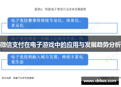 微信支付在电子游戏中的应用与发展趋势分析